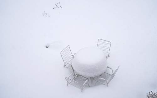 : Patio table waiting for spring