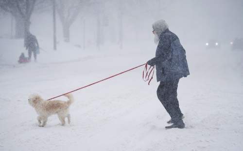 Pas de Deux: Montreal Frozen and Thawed